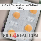 À Quoi Ressemble Le Sildénafil 50 Mg 24